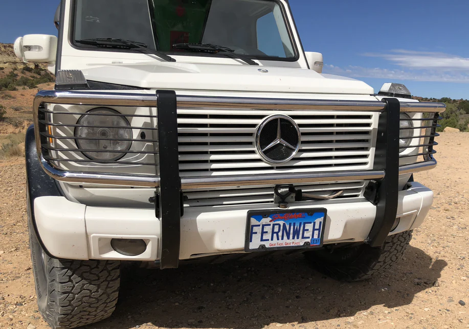 OEM Mercedes-Benz Headlight Grills for OEM Brush Guard - Image 3